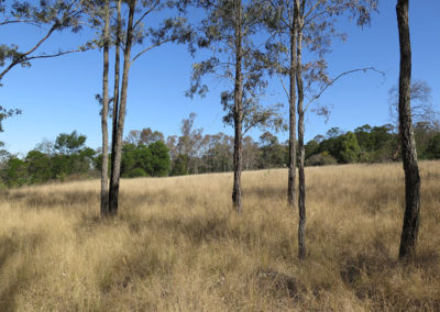 Yellomundee Regional Park Master Plan