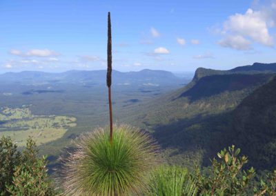 Sheepstation Creek Campground