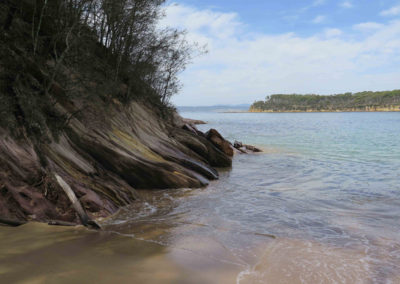 Murramarang South Coast Walk