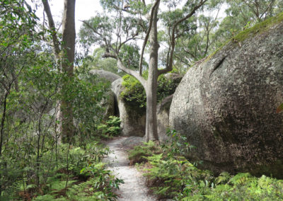 Tenterfield Precinct Upgrades